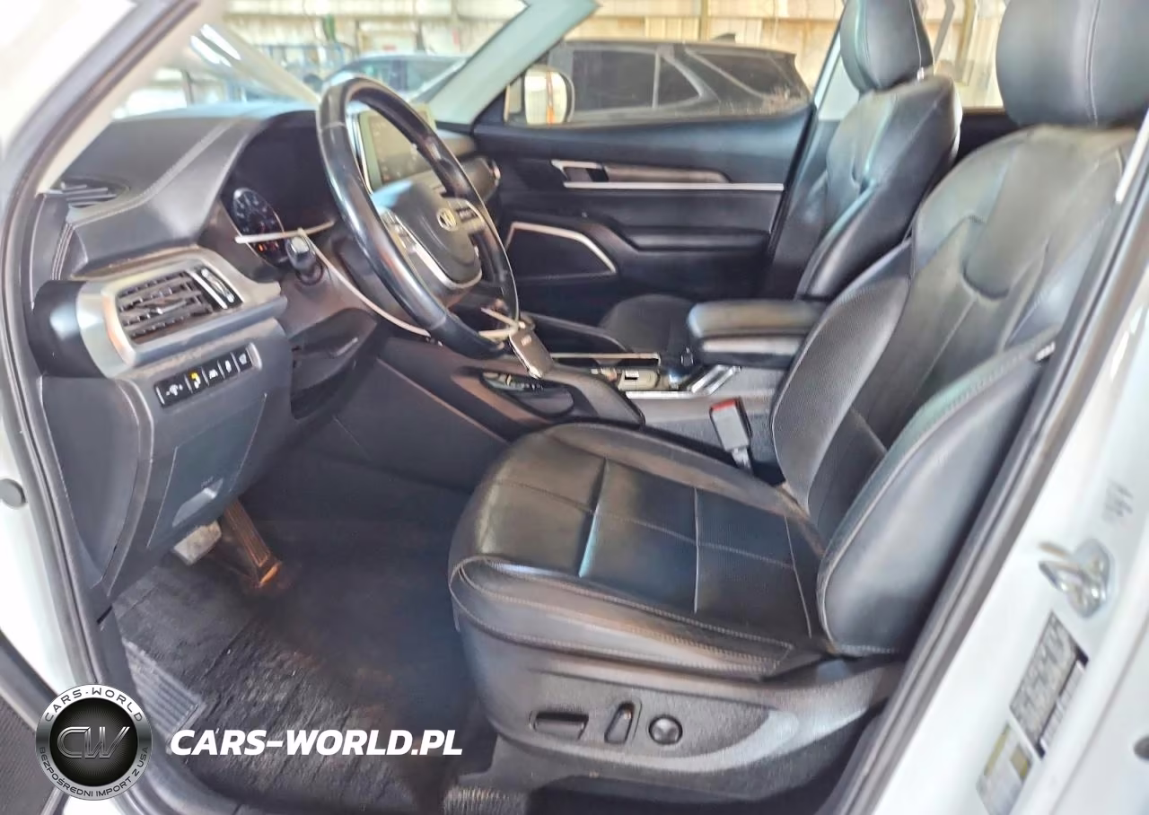 2020 Kia Telluride Ex VIN:5XYP34HC7LG038268 - 7