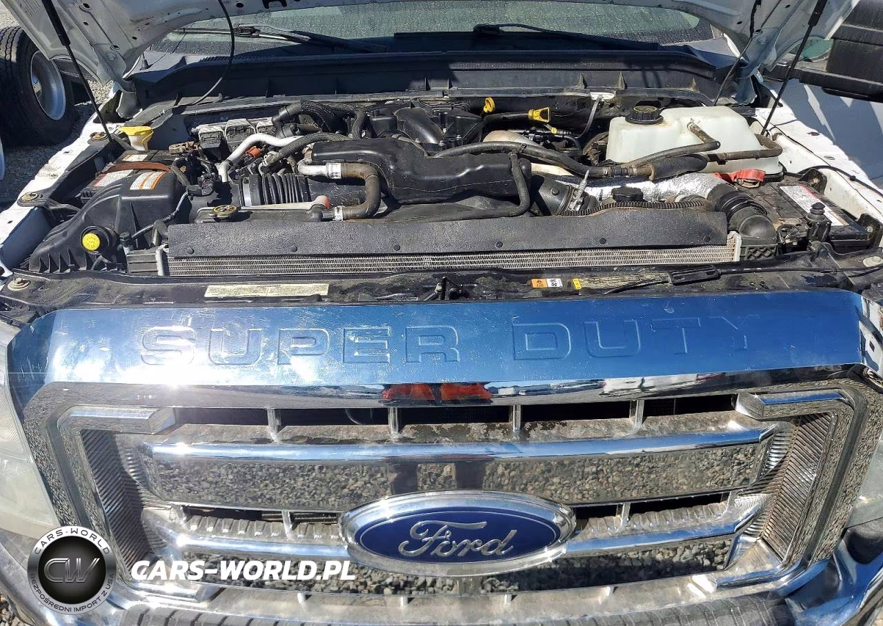 2015 Ford F350 Super Duty VIN:1FT8W3BT6FEC06025 - 11