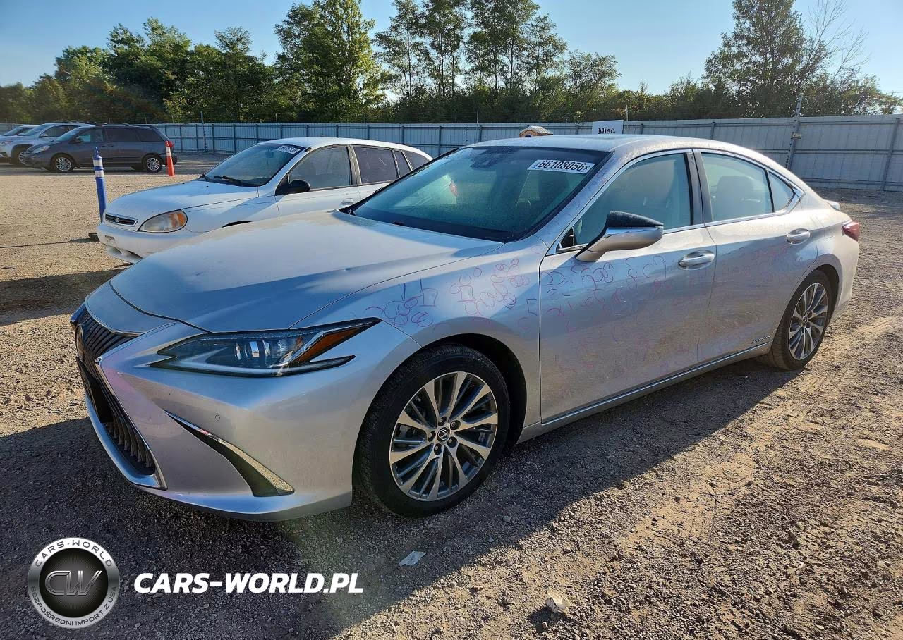 2020 Lexus Es 300H VIN:58AD21B11LU008973 - 1
