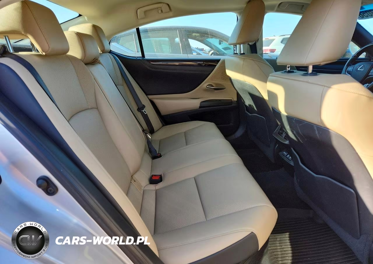 2020 Lexus Es 300H VIN:58AD21B11LU008973 - 10