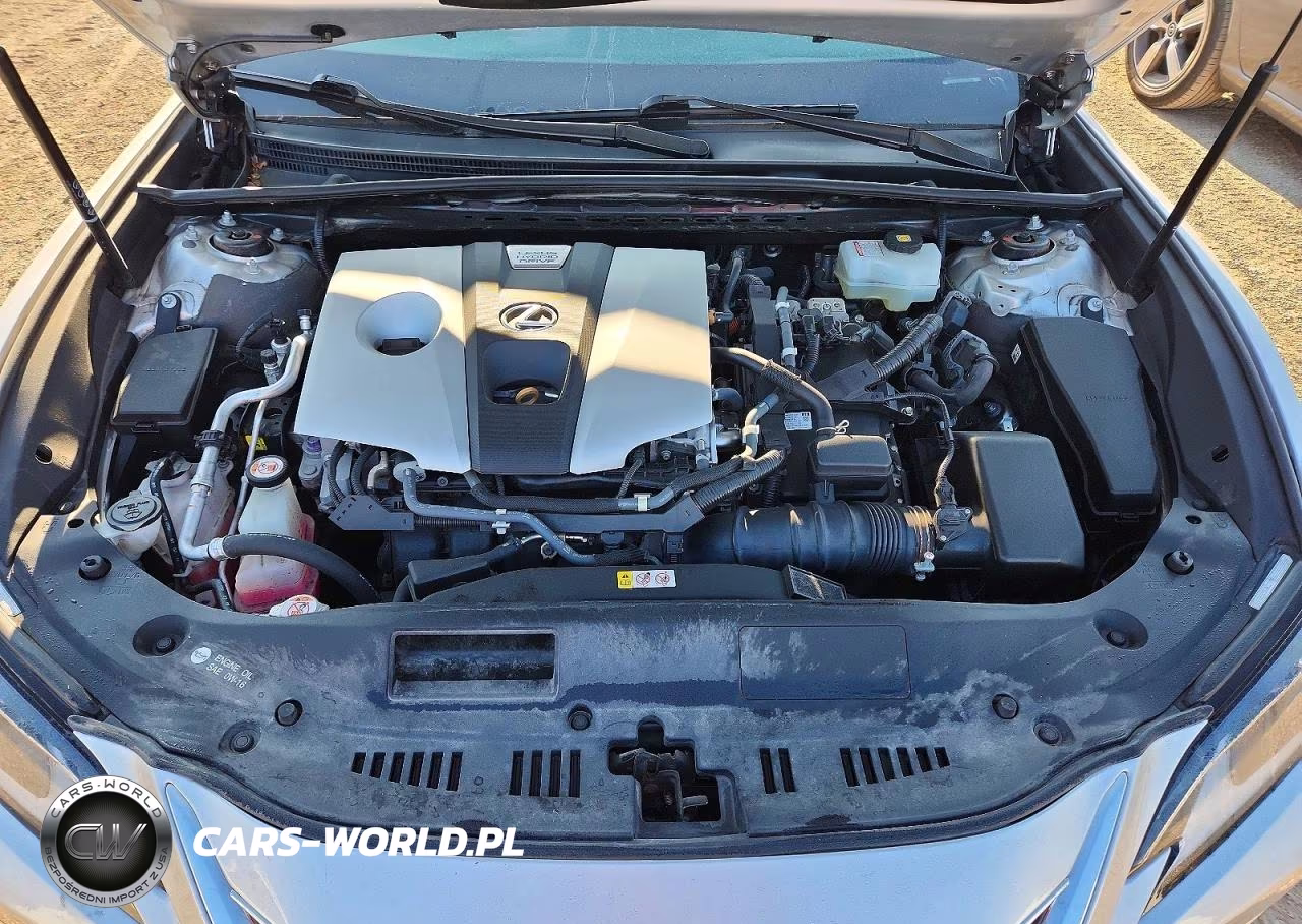 2020 Lexus Es 300H VIN:58AD21B11LU008973 - 11