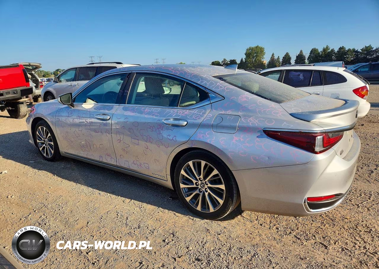 2020 Lexus Es 300H VIN:58AD21B11LU008973 - 2