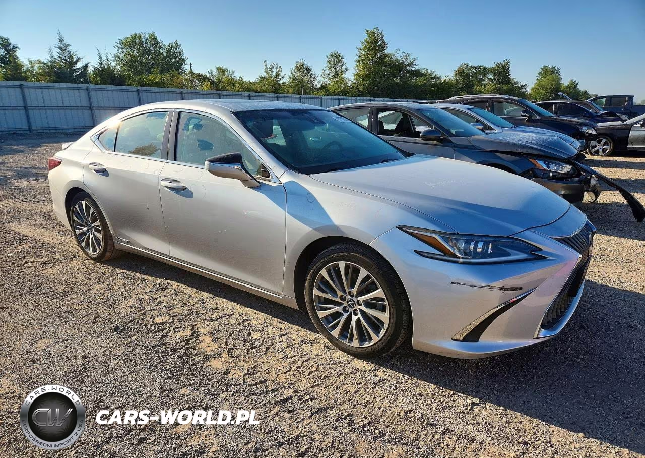 2020 Lexus Es 300H VIN:58AD21B11LU008973 - 4