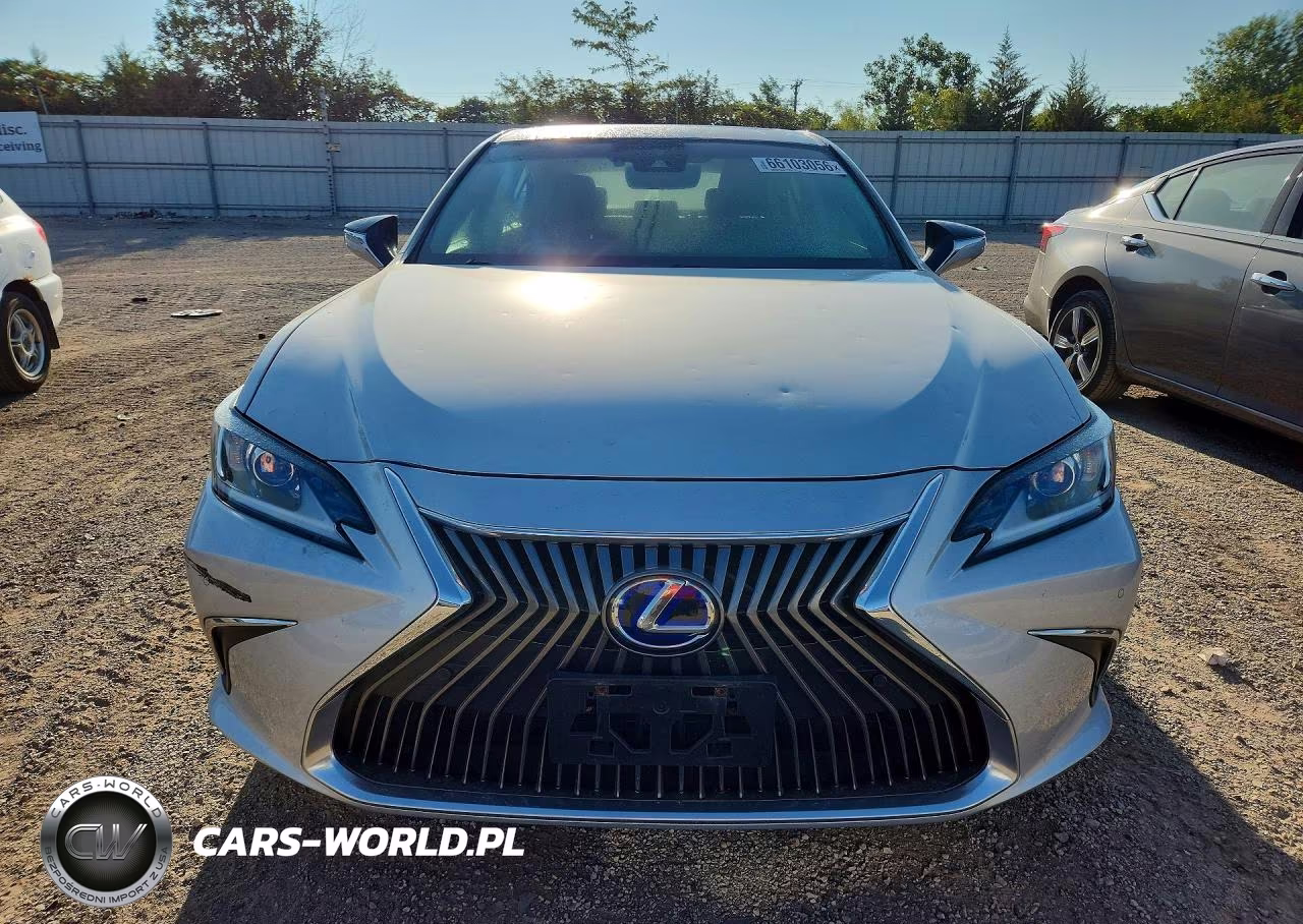 2020 Lexus Es 300H VIN:58AD21B11LU008973 - 5