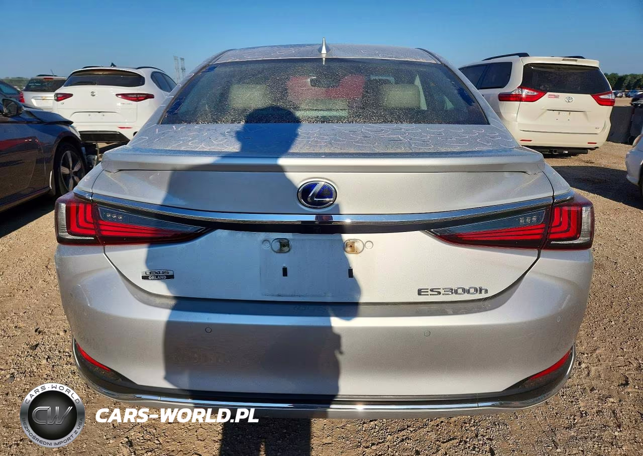 2020 Lexus Es 300H VIN:58AD21B11LU008973 - 6