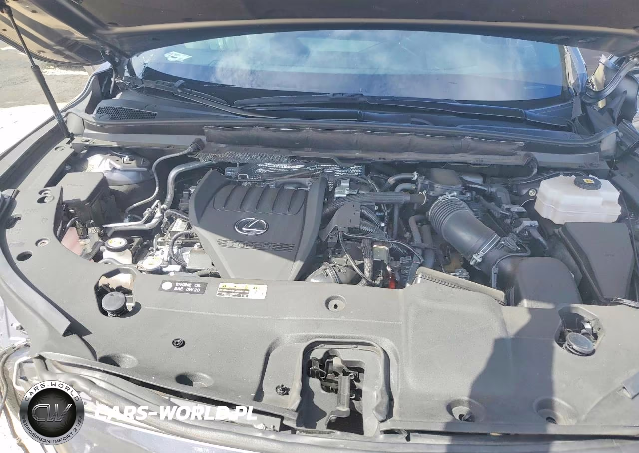 2023 Lexus Rx 500H F Sport VIN:2T2BCMEA5PC006235 - 12