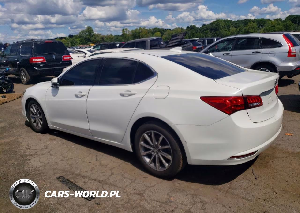 2019 Acura Tlx Technology VIN:19UUB1F5XKA006388 - 2