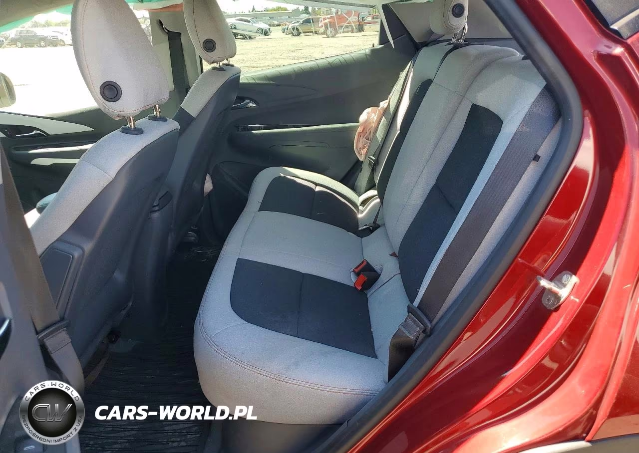 2019 Chevrolet Bolt Ev Lt VIN:1G1FY6S0XK4106429 - 10
