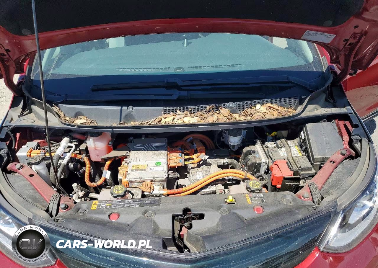 2019 Chevrolet Bolt Ev Lt VIN:1G1FY6S0XK4106429 - 11