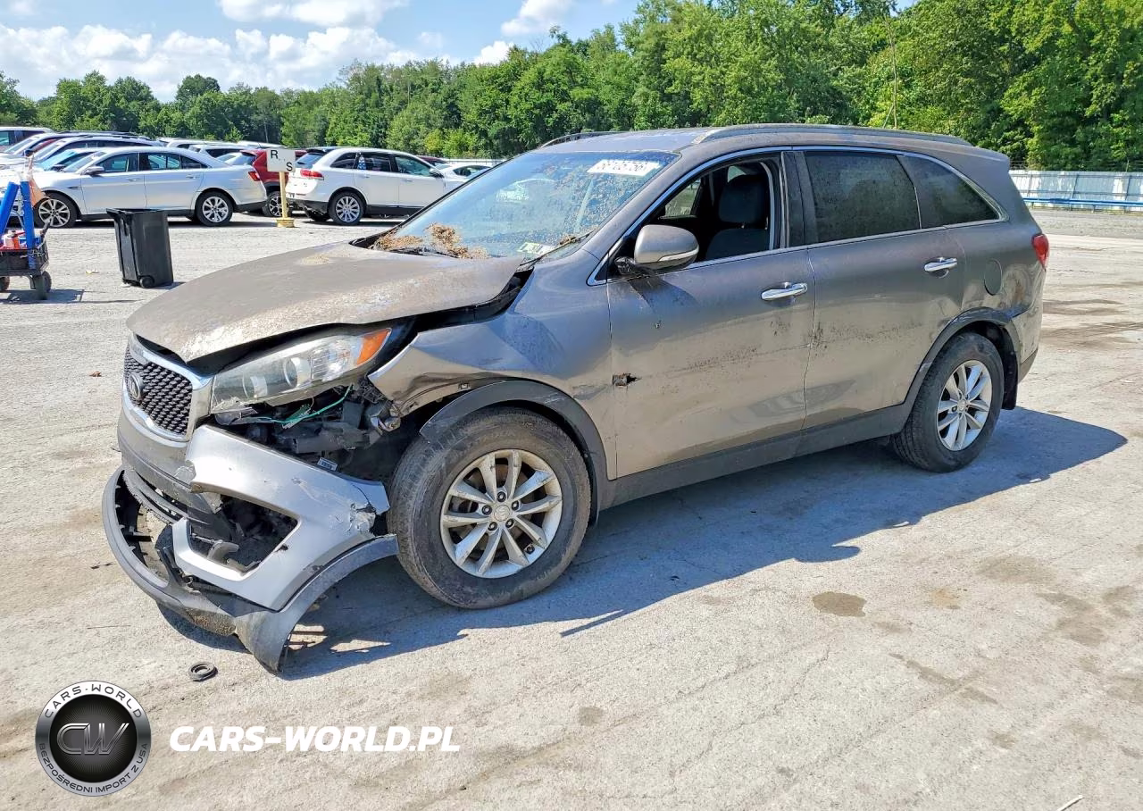 2017 Kia Sorento Lx VIN:5XYPG4A39HG323852 - 1