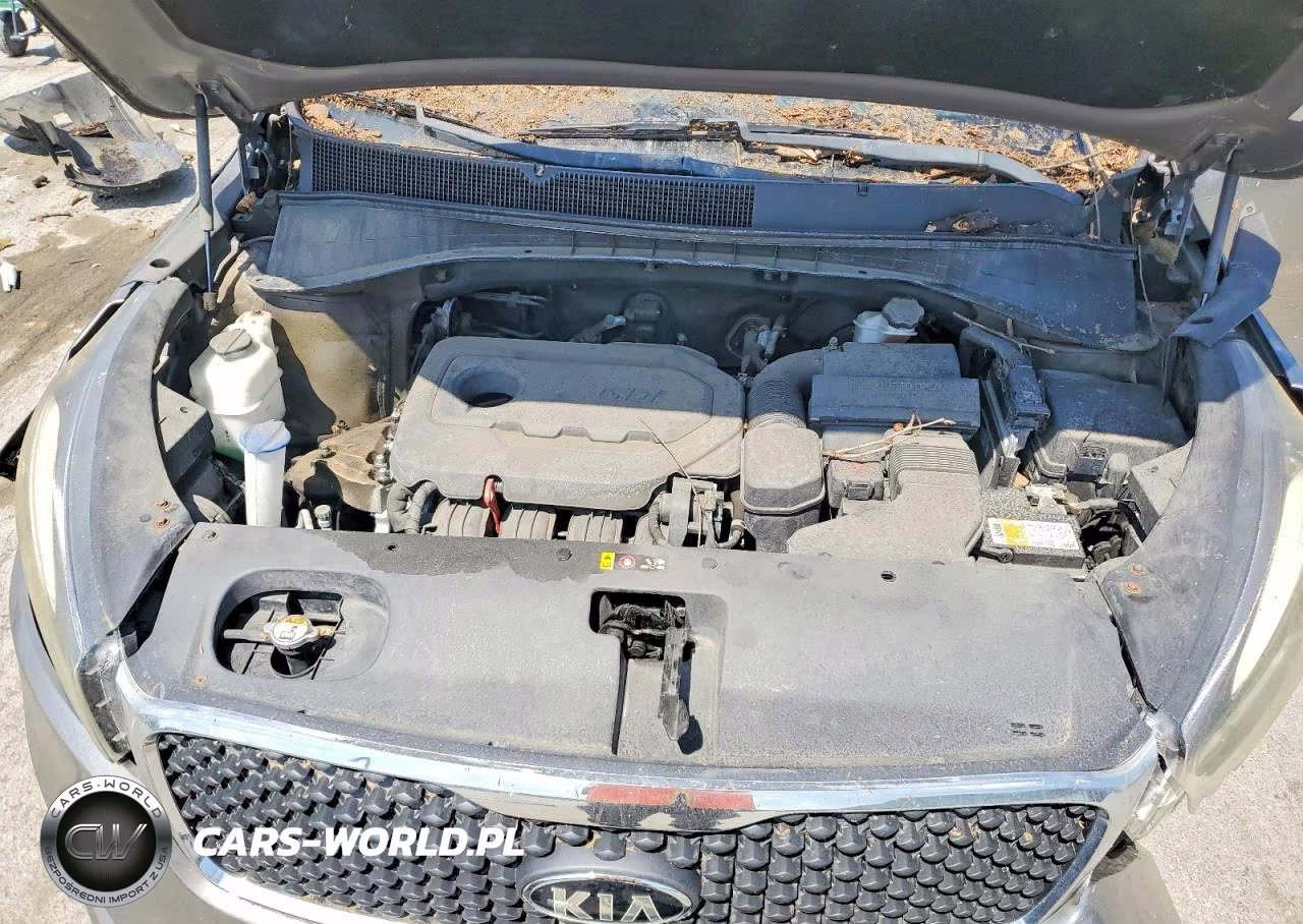 2017 Kia Sorento Lx VIN:5XYPG4A39HG323852 - 12
