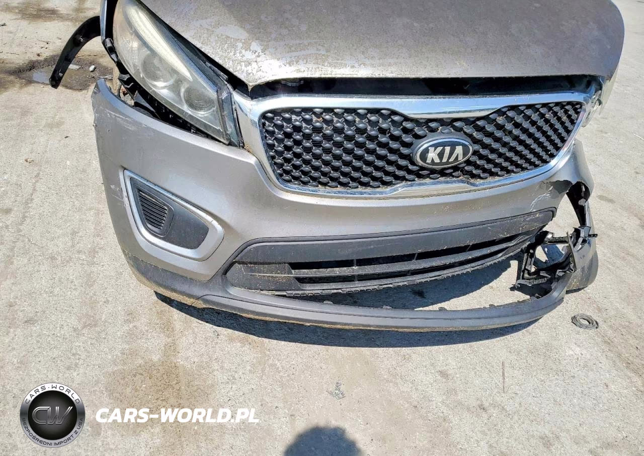 2017 Kia Sorento Lx VIN:5XYPG4A39HG323852 - 13