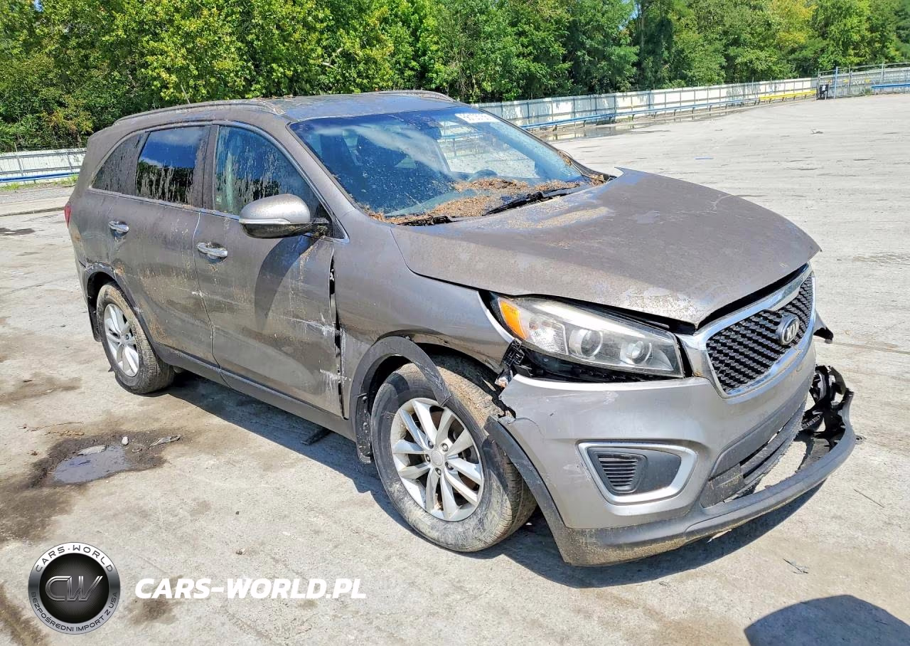 2017 Kia Sorento Lx VIN:5XYPG4A39HG323852 - 4