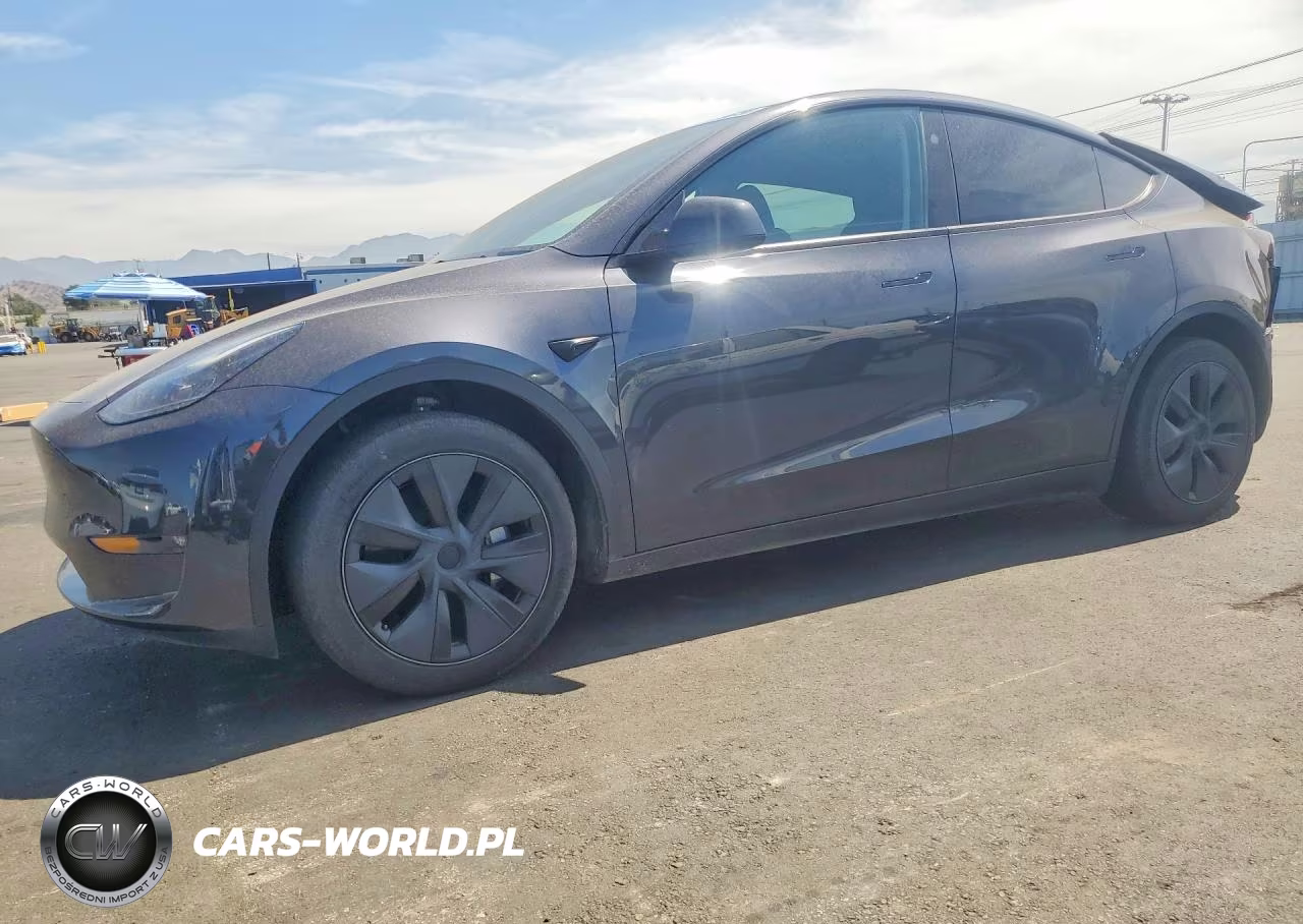 2024 Tesla Model Y