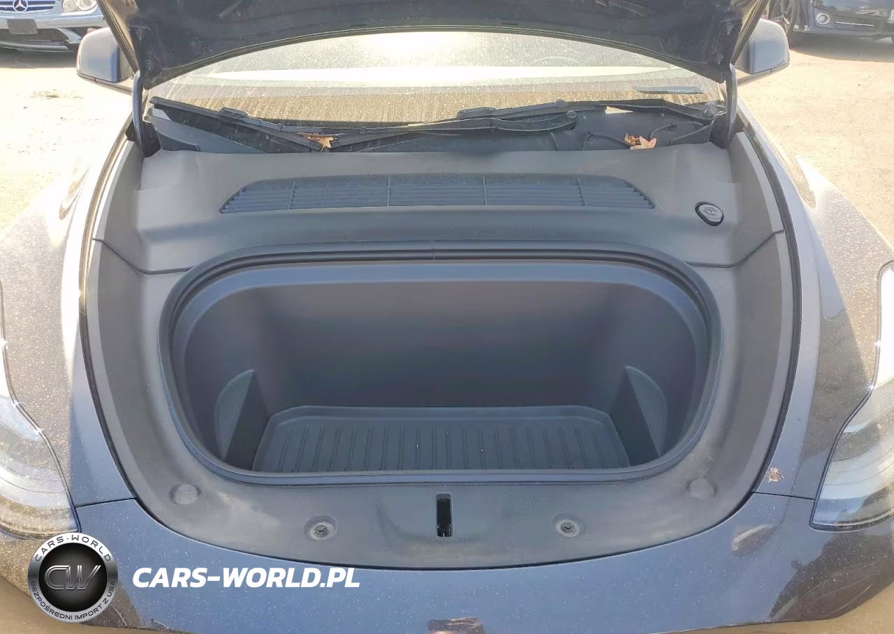 2024 Tesla Model Y VIN:7SAYGDEE8RF167654 - 11