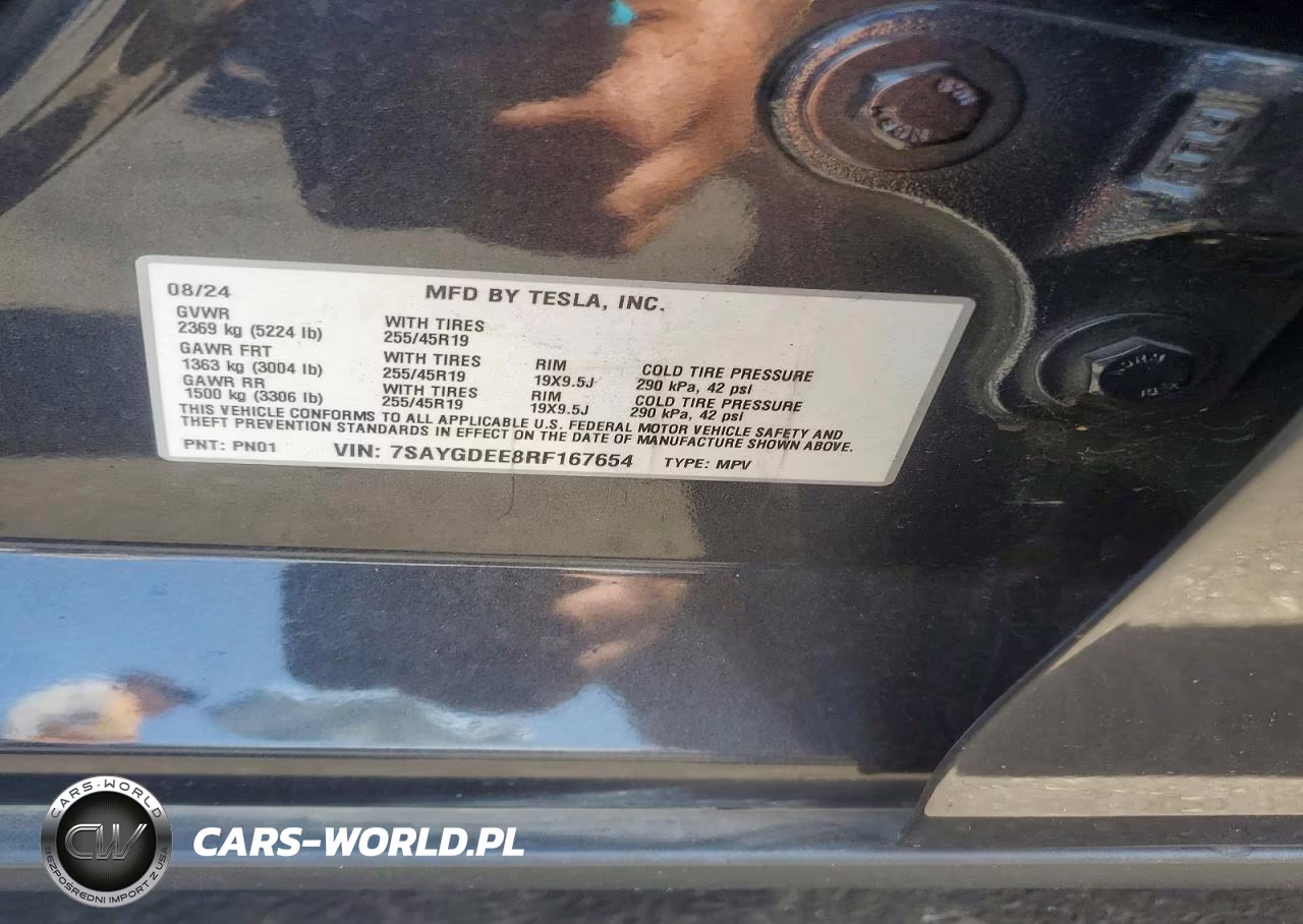 2024 Tesla Model Y VIN:7SAYGDEE8RF167654 - 12
