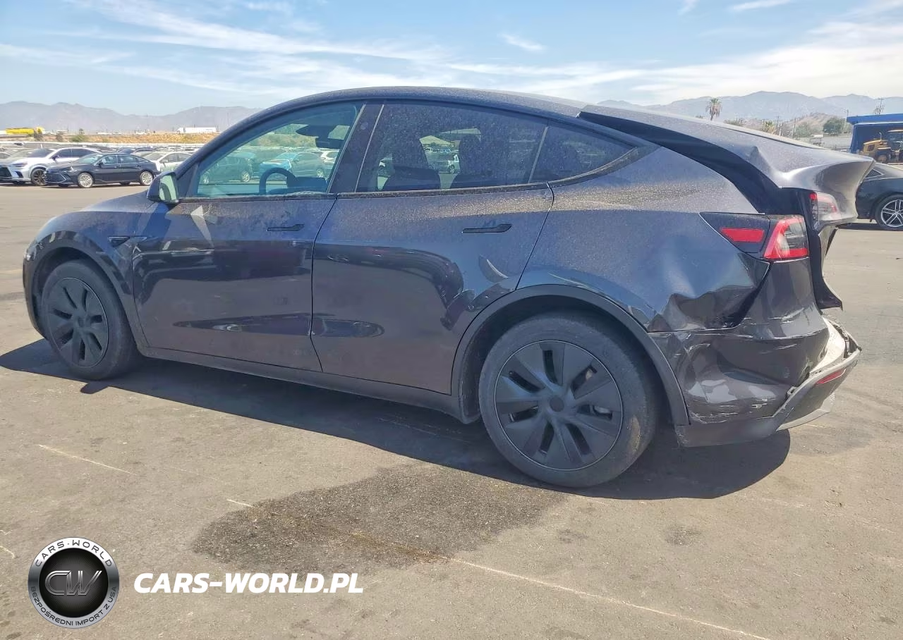 2024 Tesla Model Y VIN:7SAYGDEE8RF167654 - 2
