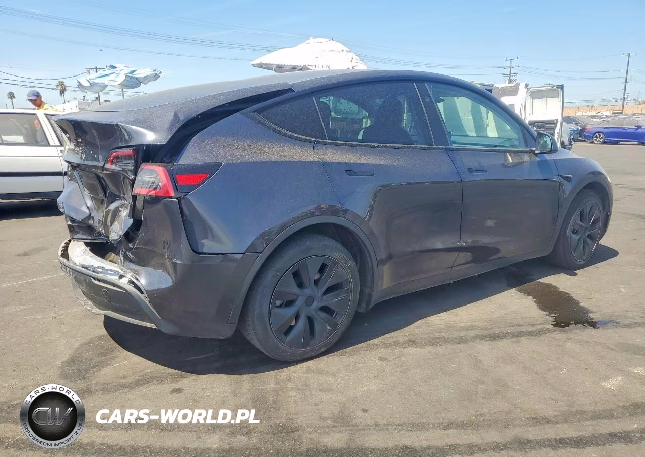 2024 Tesla Model Y VIN:7SAYGDEE8RF167654 - 3