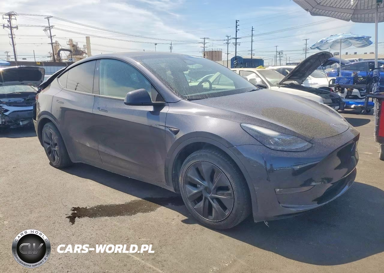2024 Tesla Model Y VIN:7SAYGDEE8RF167654 - 4