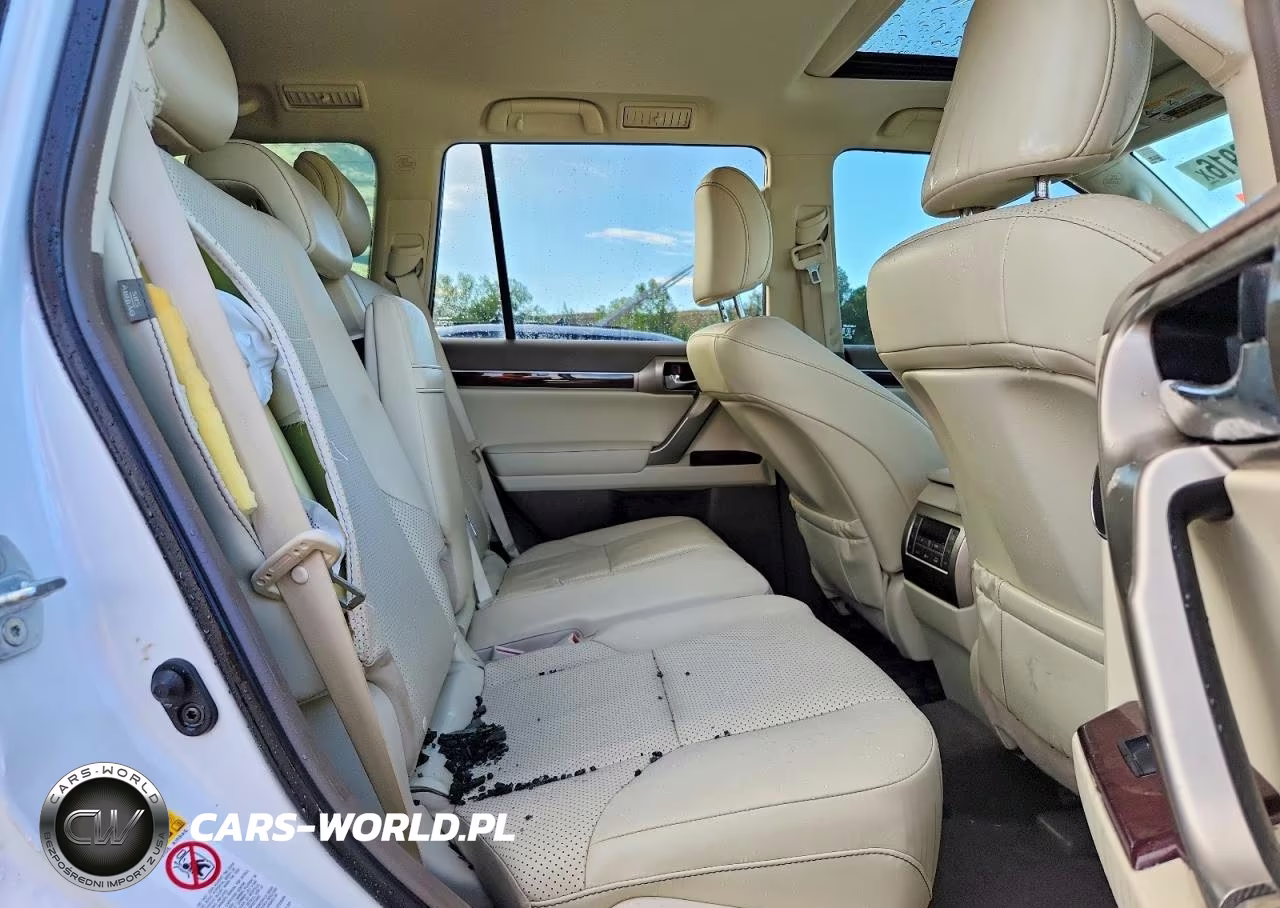 2019 Lexus Gx 460 Premium VIN:JTJJM7FX6K5215844 - 11