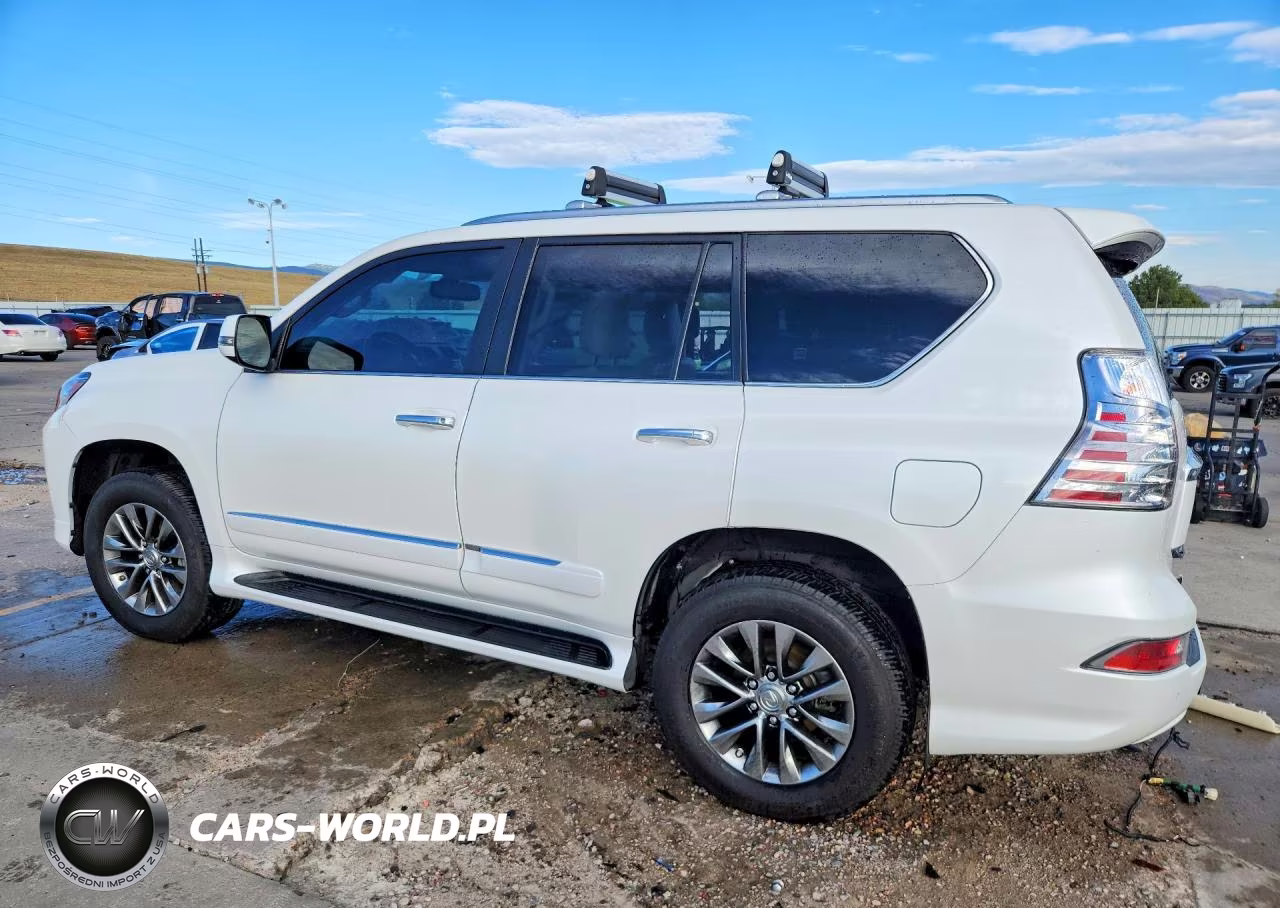 2019 Lexus Gx 460 Premium VIN:JTJJM7FX6K5215844 - 2