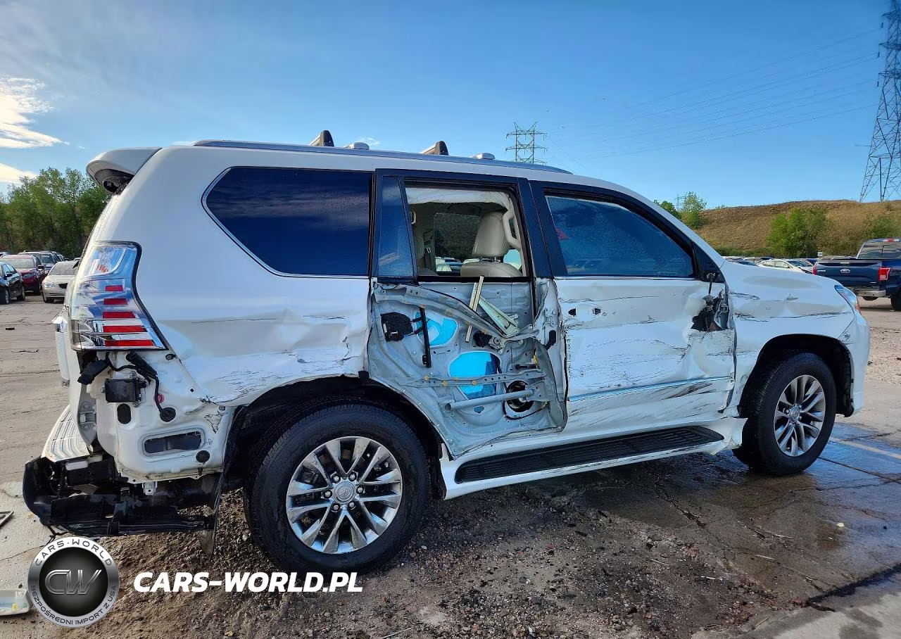 2019 Lexus Gx 460 Premium VIN:JTJJM7FX6K5215844 - 3
