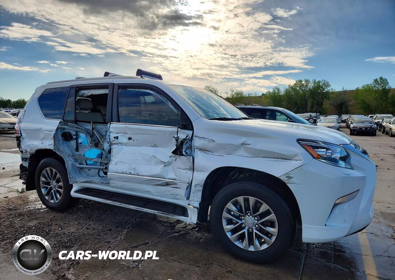 2019 Lexus Gx 460 Premium VIN:JTJJM7FX6K5215844 - 4