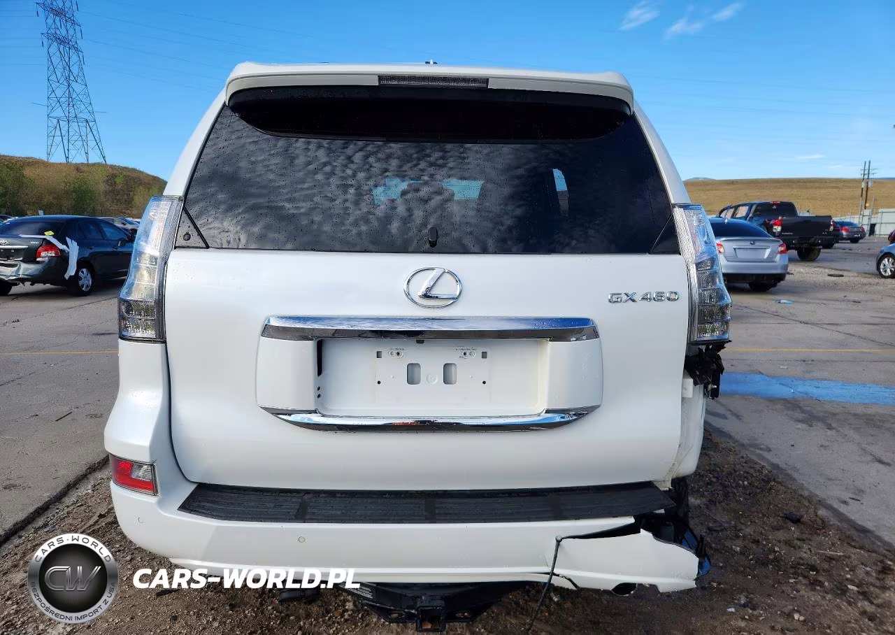 2019 Lexus Gx 460 Premium VIN:JTJJM7FX6K5215844 - 6