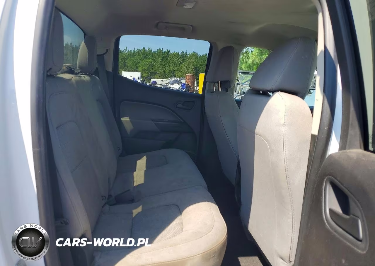 2019 Chevrolet Colorado VIN:1GCGSBEN2K1218110 - 10