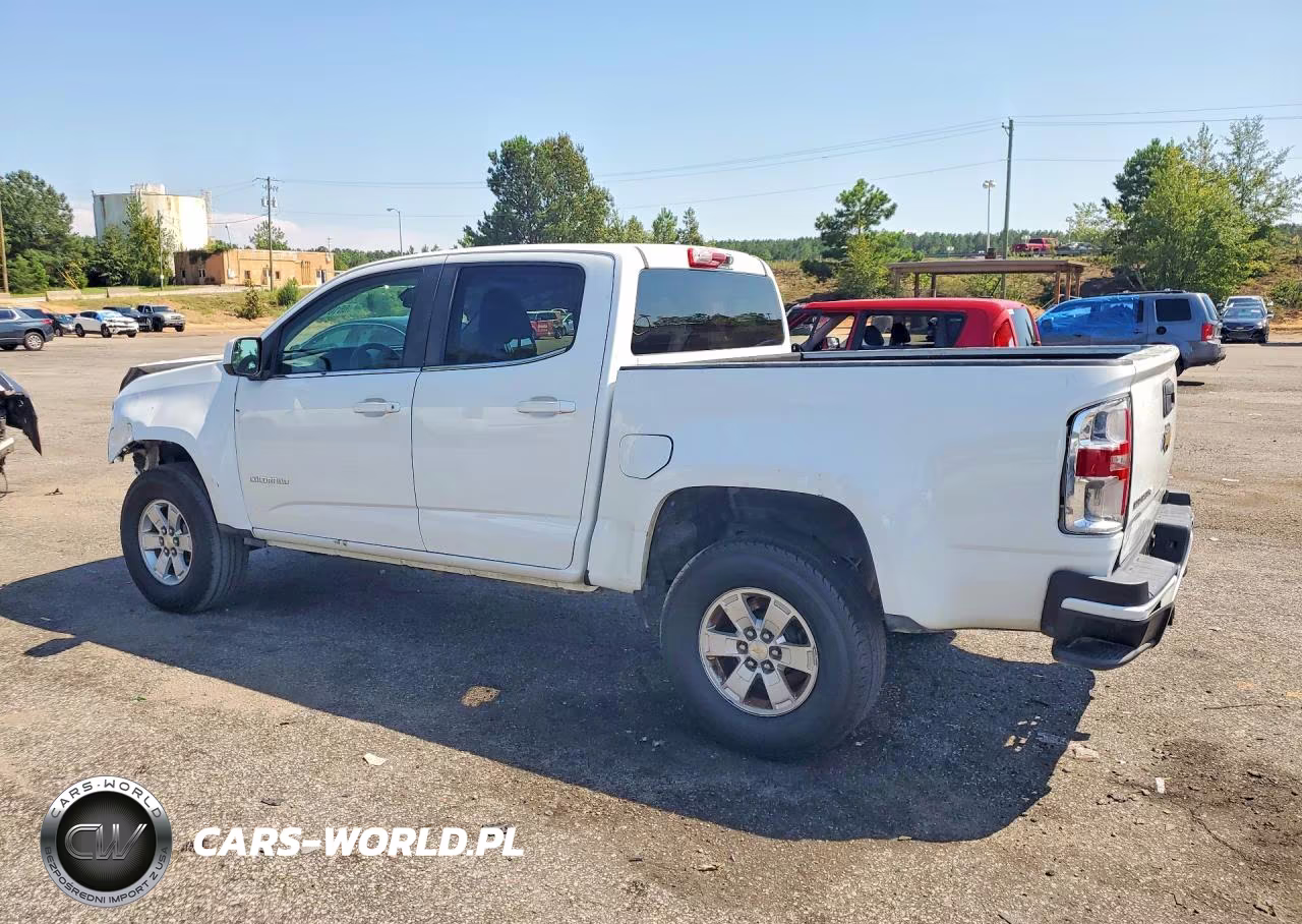 2019 Chevrolet Colorado VIN:1GCGSBEN2K1218110 - 2