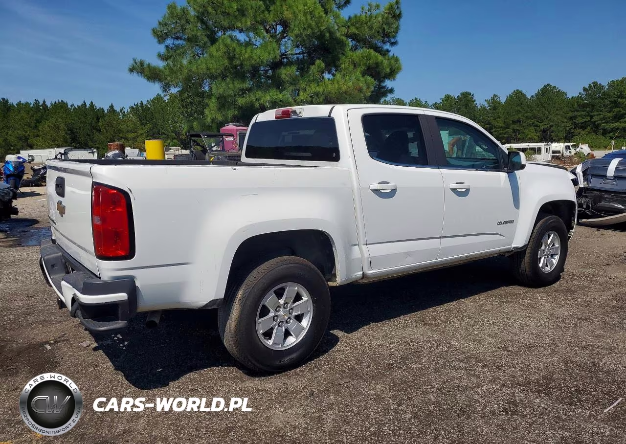2019 Chevrolet Colorado VIN:1GCGSBEN2K1218110 - 3