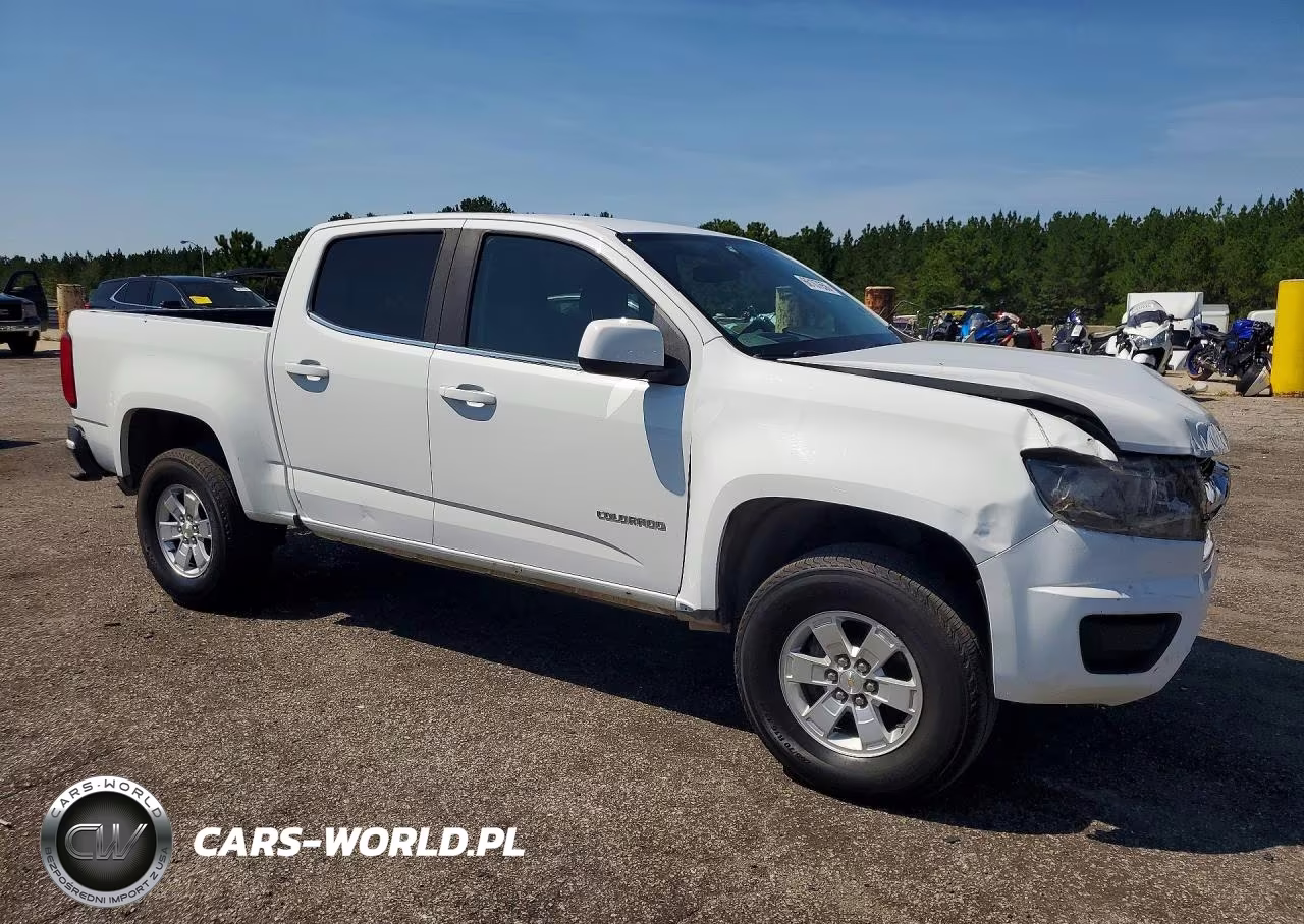 2019 Chevrolet Colorado VIN:1GCGSBEN2K1218110 - 4