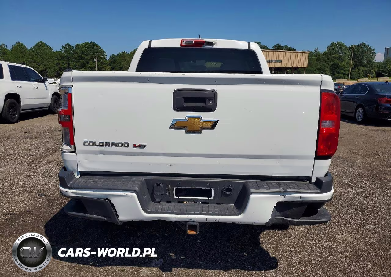 2019 Chevrolet Colorado VIN:1GCGSBEN2K1218110 - 6