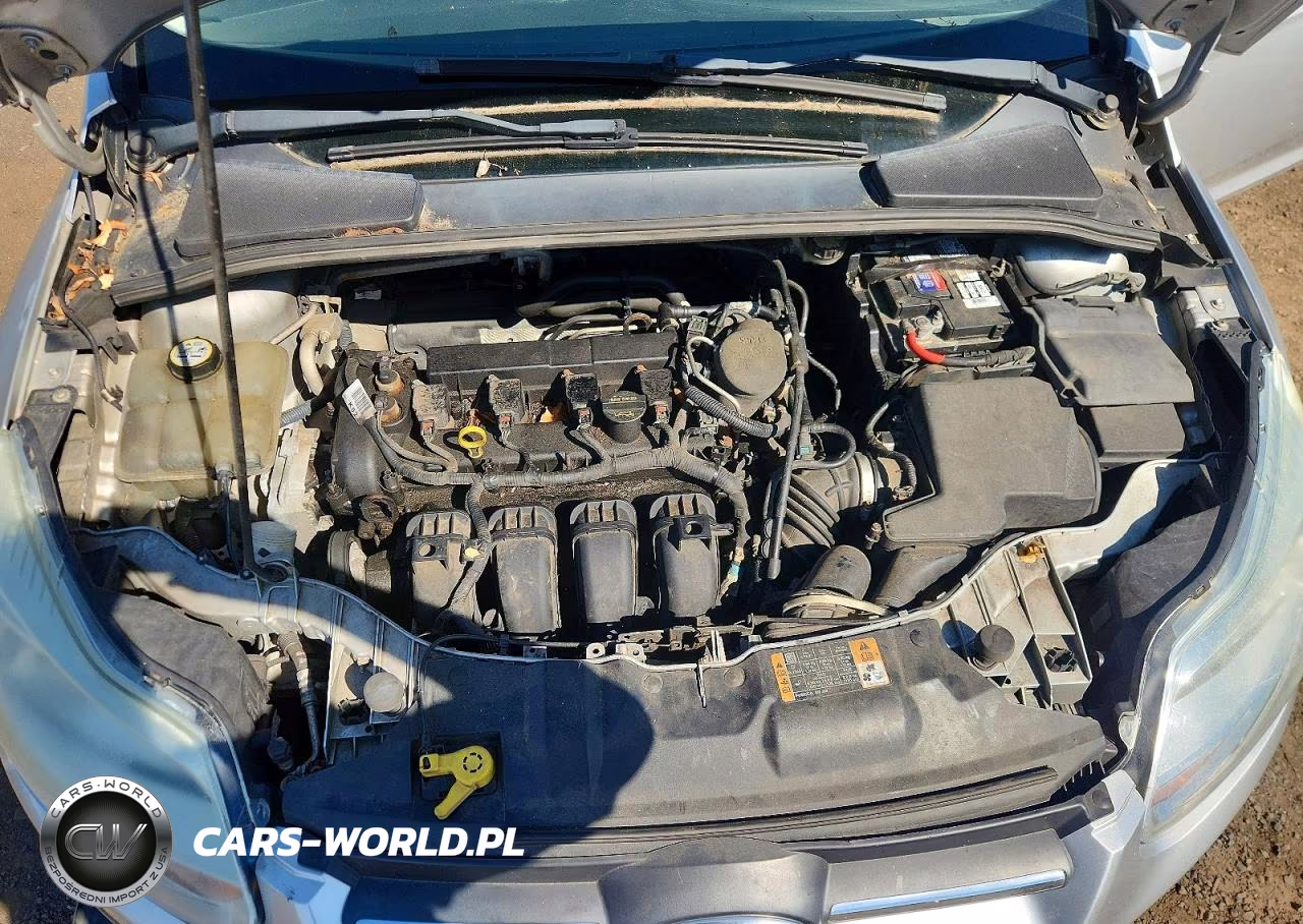 2013 Ford Focus Se VIN:1FADP3F26DL314866 - 11