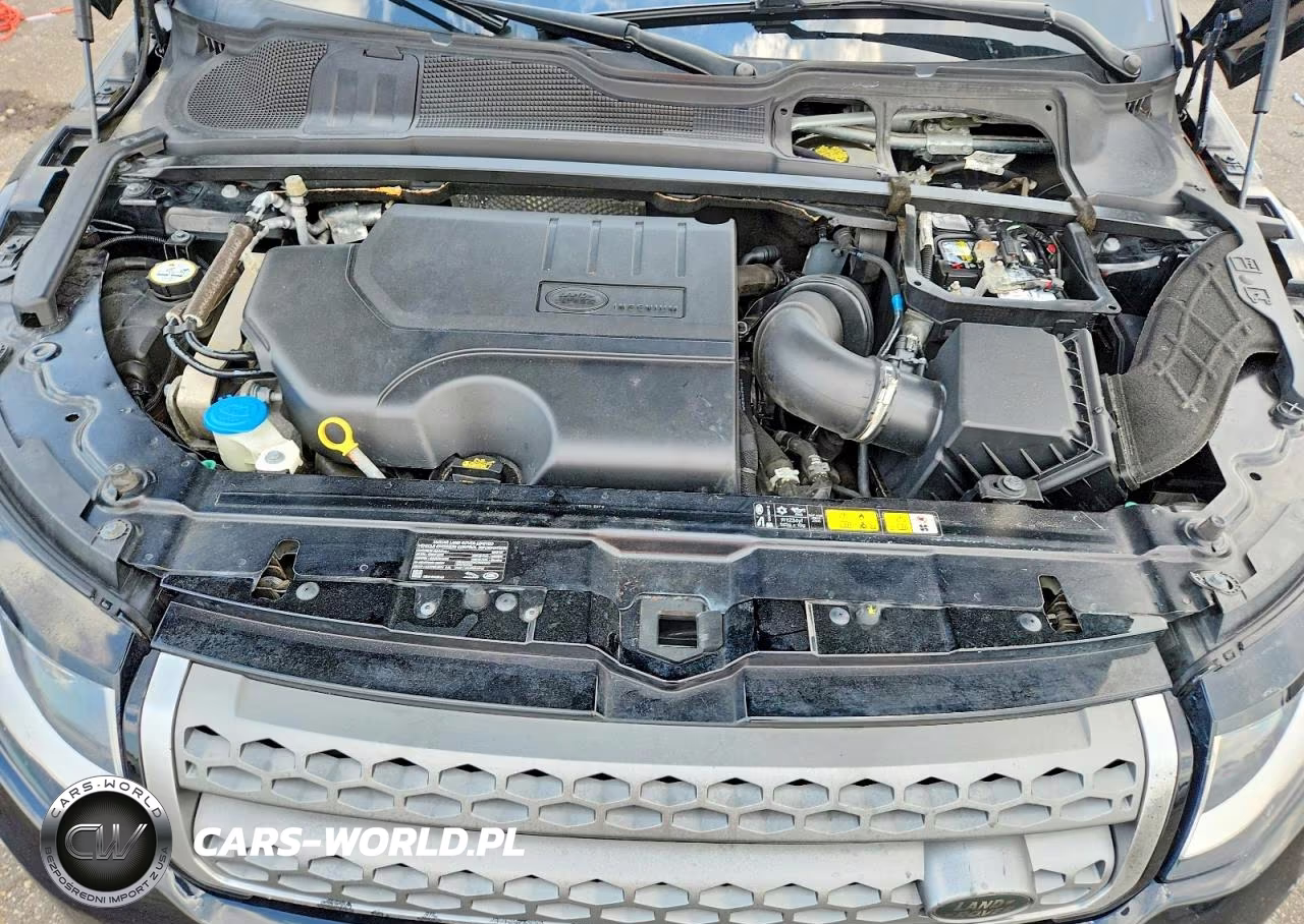 2019 Land Rover Range Rover Evoque Se VIN:SALVP2RX1KH348061 - 12