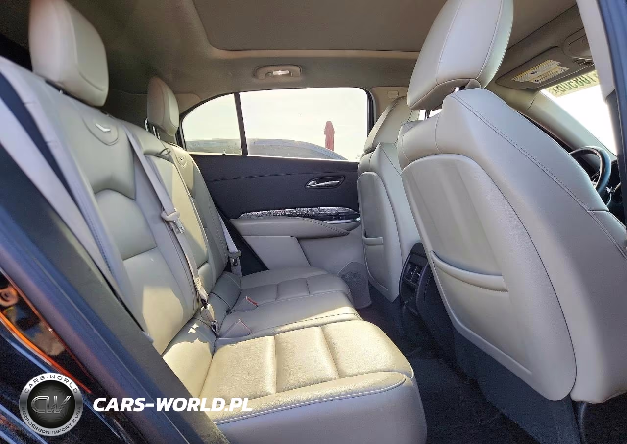 2023 Cadillac Xt4 Luxury VIN:1GYAZAR43PF105896 - 10
