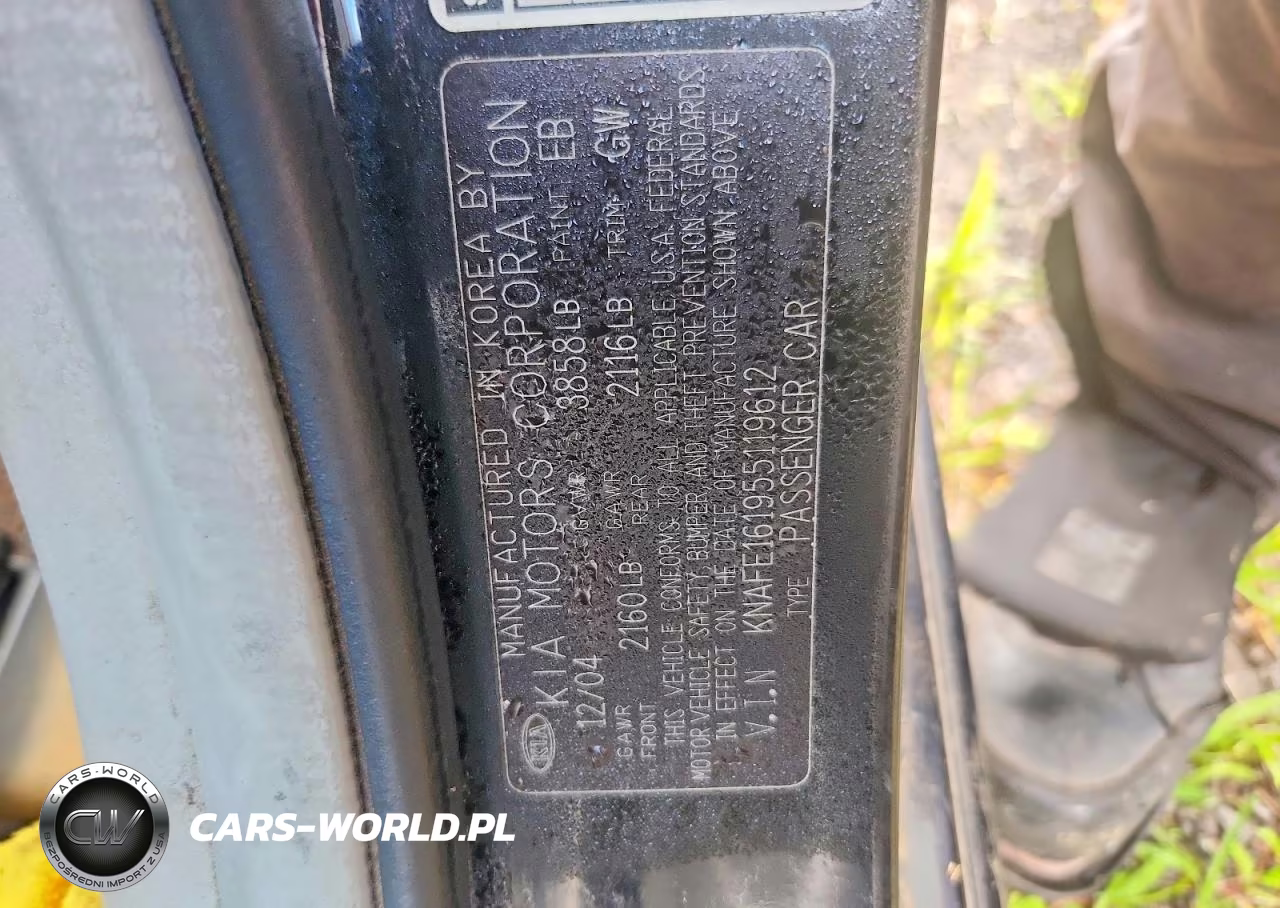 2005 Kia Spectra Spectra5 VIN:KNAFE161955119612 - 13