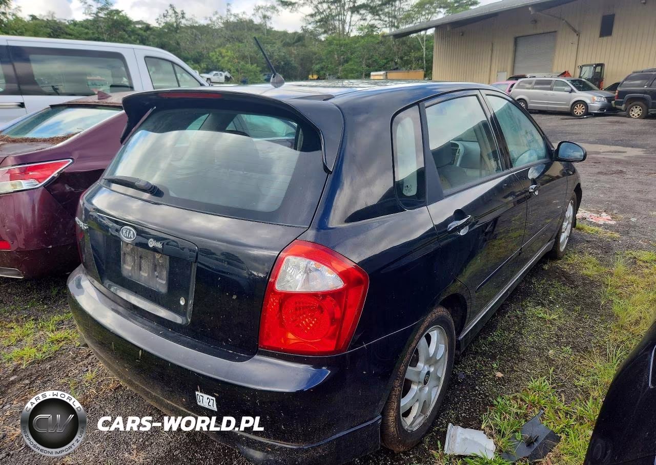 2005 Kia Spectra Spectra5 VIN:KNAFE161955119612 - 3