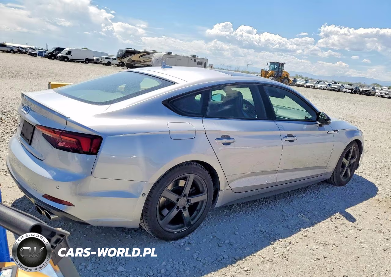 2019 Audi S5 Prestige VIN:WAUC4DF54KA070428 - 3