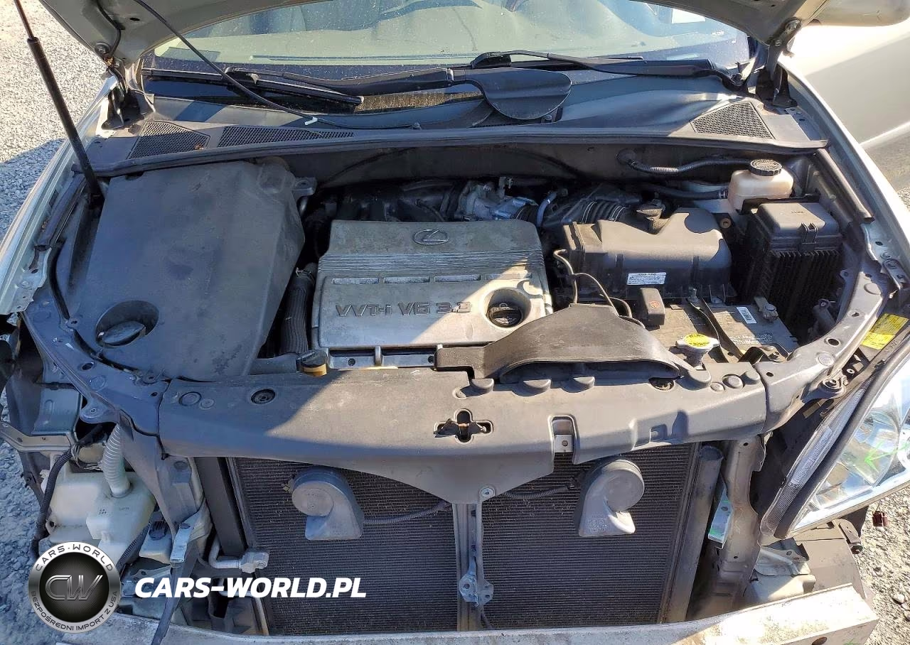 2006 Lexus Rx 330 VIN:2T2HA31U56C108661 - 12
