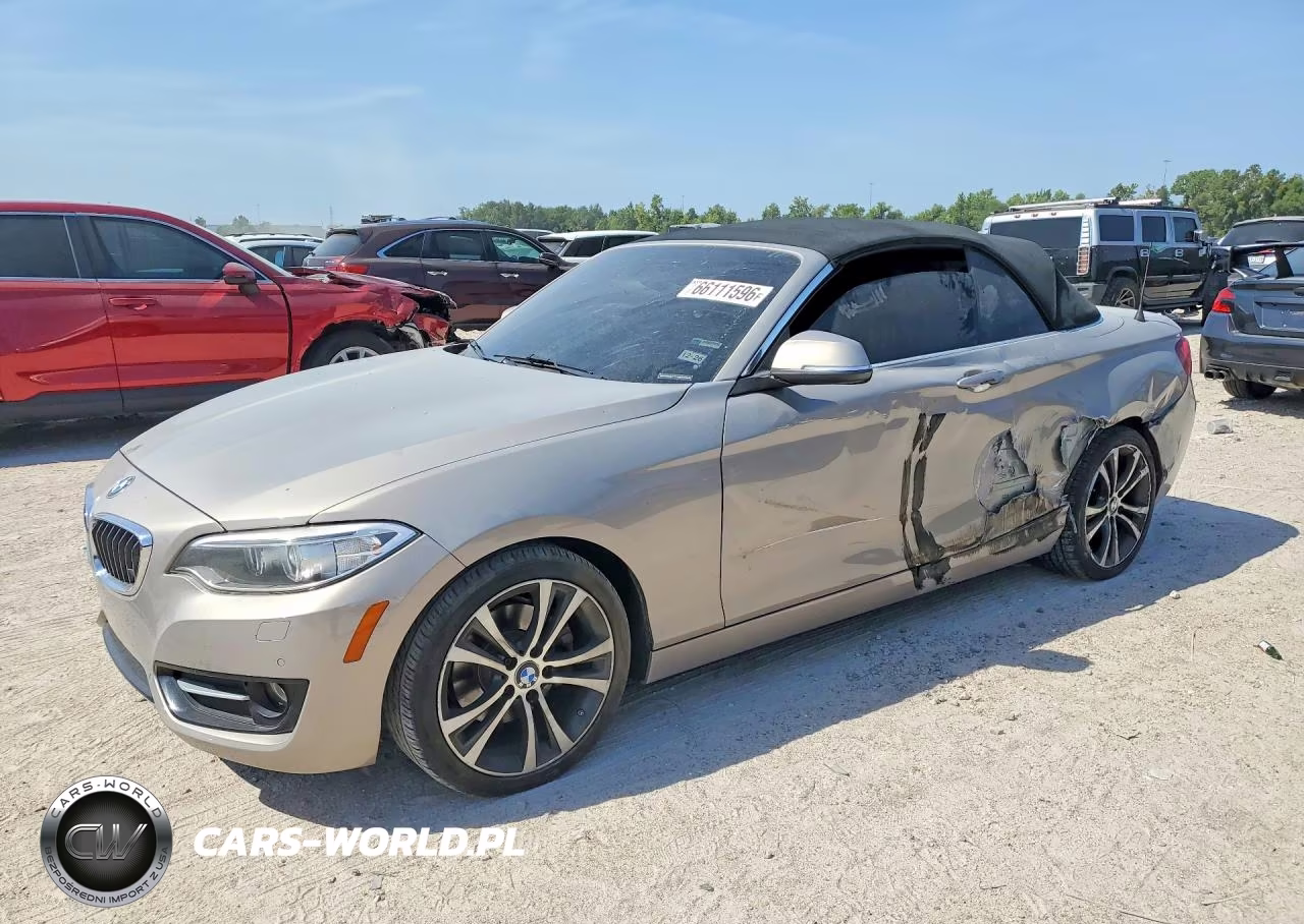 2017 BMW 230Xi – zdjęcie 1 z 12