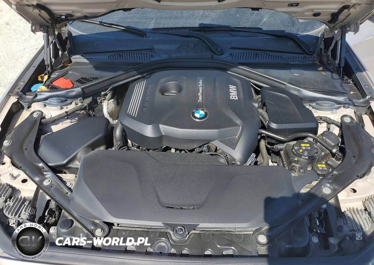 2017 BMW 230Xi VIN:WBA2M9C38HV717765 - 11