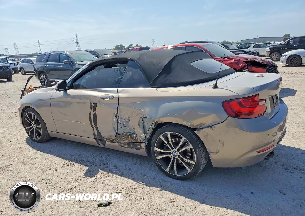 2017 BMW 230Xi VIN:WBA2M9C38HV717765 - 2