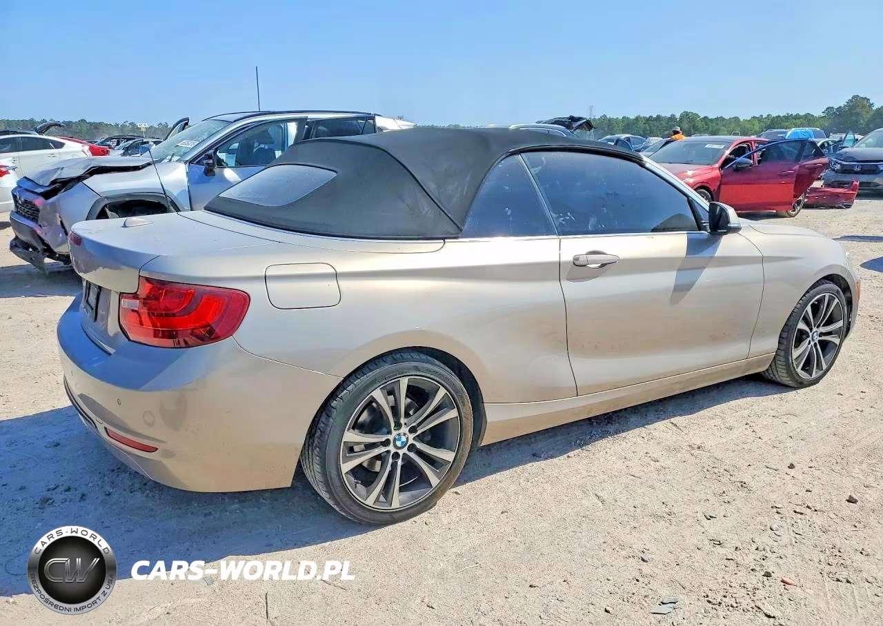 2017 BMW 230Xi VIN:WBA2M9C38HV717765 - 3