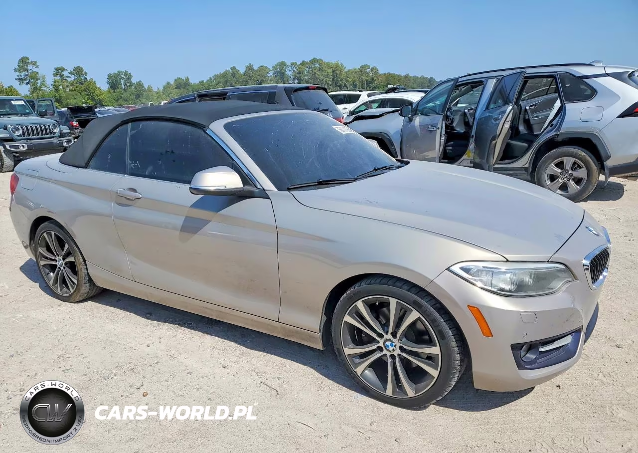 2017 BMW 230Xi VIN:WBA2M9C38HV717765 - 4