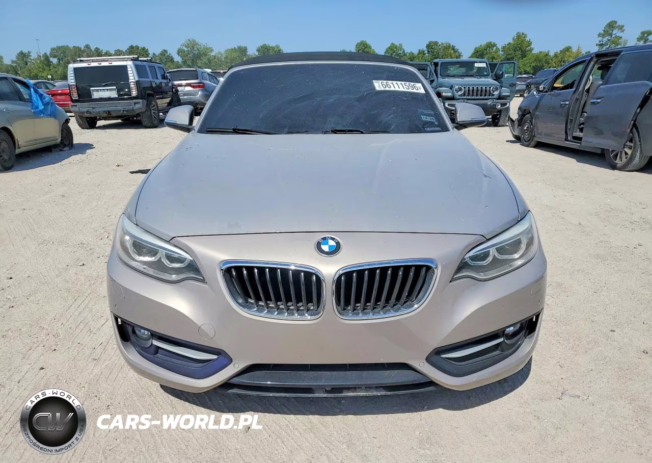 2017 BMW 230Xi VIN:WBA2M9C38HV717765 - 5