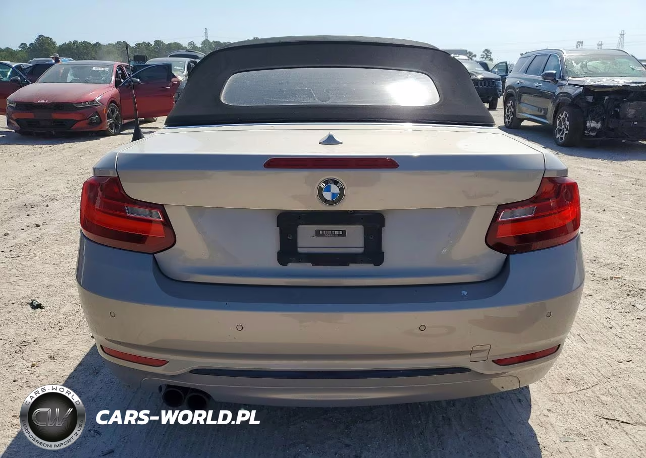 2017 BMW 230Xi VIN:WBA2M9C38HV717765 - 6
