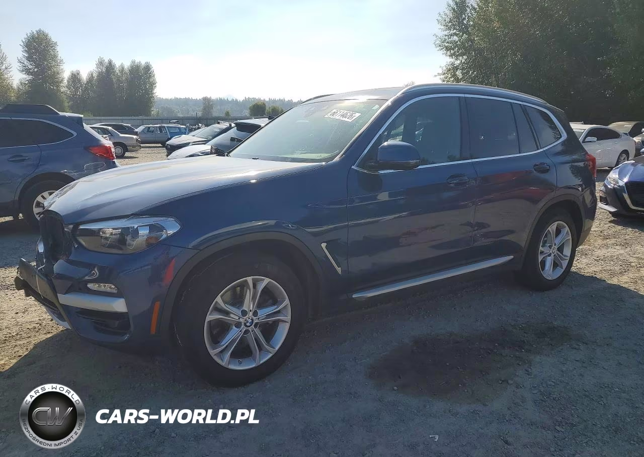 2019 BMW X3 xDrive30I – zdjęcie 1 z 13