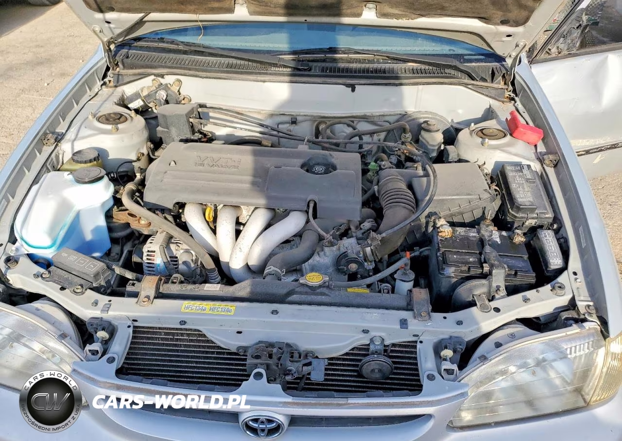 2000 Toyota Corolla Ve VIN:1NXBR12E0YZ316155 - 11