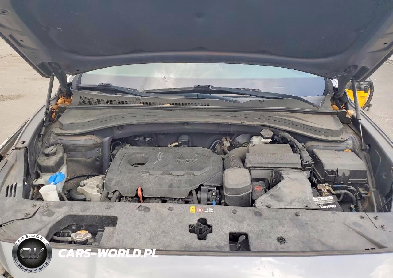 2019 Hyundai Santa Fe Se VIN:5NMS23AD1KH118440 - 12